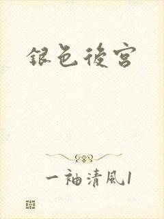 银色后宫