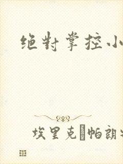 绝对掌控小说封面