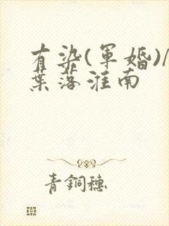 有染(军婚)/叶落淮南
