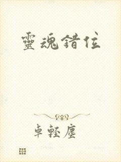 灵魂错位封面