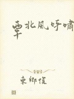 西北风呼啸的中午
