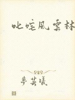叱咤风云林云封面