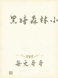 黑暗森林小说封面