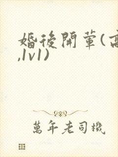 婚后开荤(高h,1v1)封面