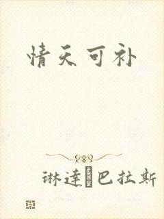 情天可补