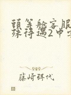 头等舱客服的特殊待遇2中字