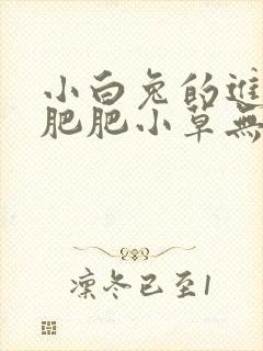 小白兔的进化史肥肥小草无防盗