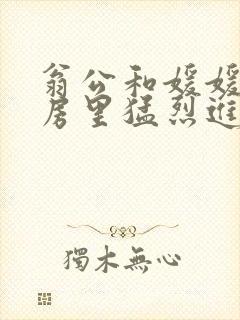 翁公和媛媛在厨房里猛烈进出