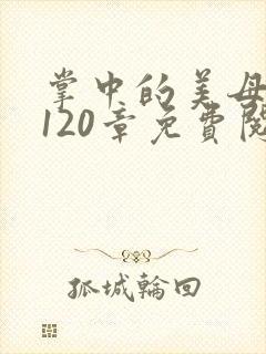 掌中的美母版主120章免费阅读