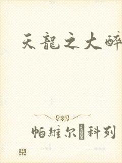 天龙之大醉侠