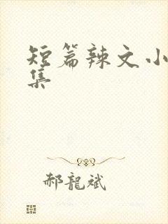 短篇辣文小说合集