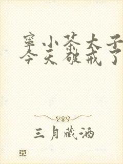 宁小茶太子殿下今天破戒了吗免费阅读