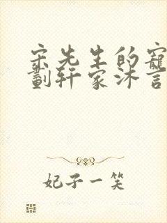 宋先生的宠妻计划轩家沐言