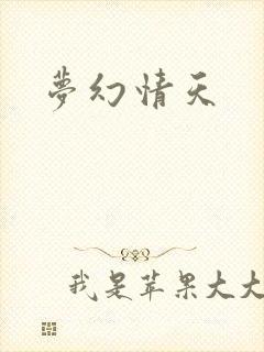 梦幻情天封面