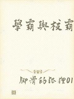 学霸与校霸封面
