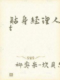 贴身经理人txt封面