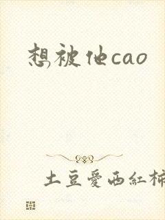 想被他cao