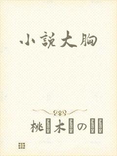 小说大胸