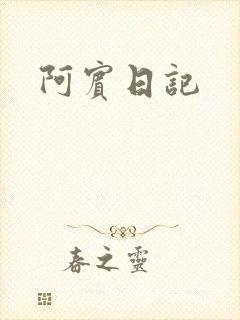 阿宾日记封面