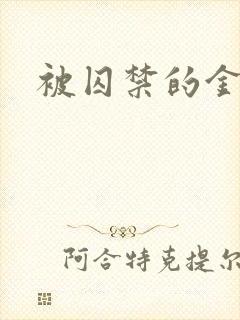 被囚禁的金丝雀