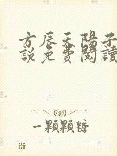方辰天阳子的小说免费阅读封面