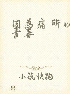 因为痛 所以叫青春