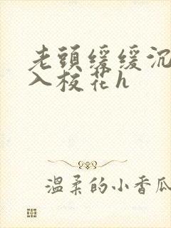老头缓缓沉腰进入校花h
