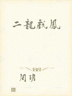 二龙戏凤