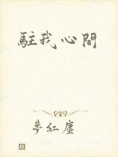 驻我心间