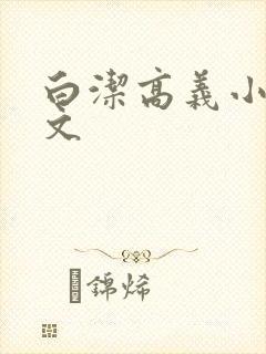 白洁高义小说全文