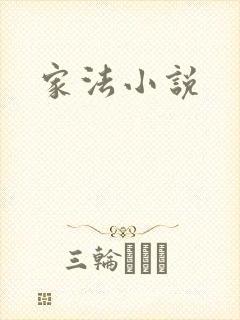家法小说封面