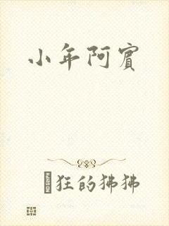 小年阿宾封面