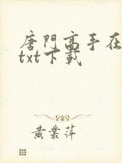 唐门高手在异世txt下载