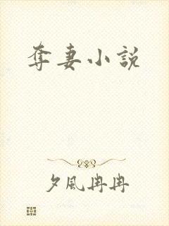 夺妻小说封面