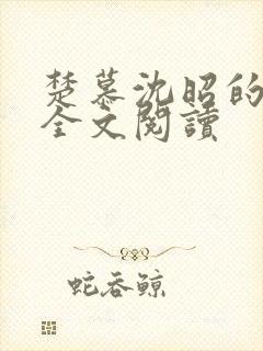 楚慕沈昭的小说全文阅读