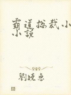 霸道总裁小娇妻小说