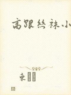 高跟丝袜小说