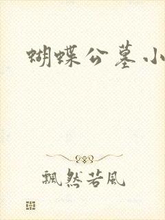 蝴蝶公墓小说