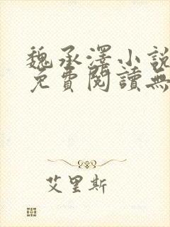 魏承泽小说全文免费阅读无弹窗笔趣