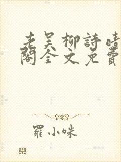 老吴柳诗晴笔趣阁全文免费阅读封面