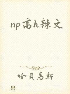 np高h辣文封面