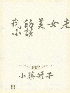 我的美女老板 小说封面