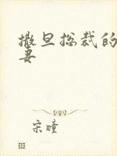 撒旦总裁的下堂妻