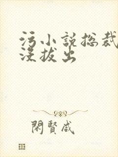 污小说总裁整夜没拔出