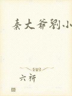 秦大爷刘小静