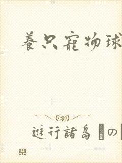 养只宠物球封面