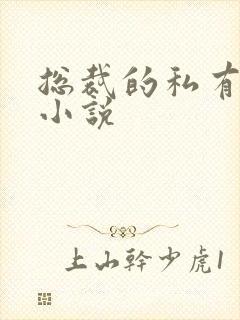 总裁的私有宝贝小说