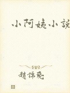 小阿姨小说封面