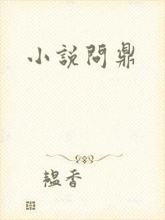 小说问鼎