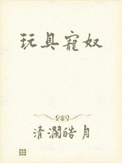 玩具宠奴